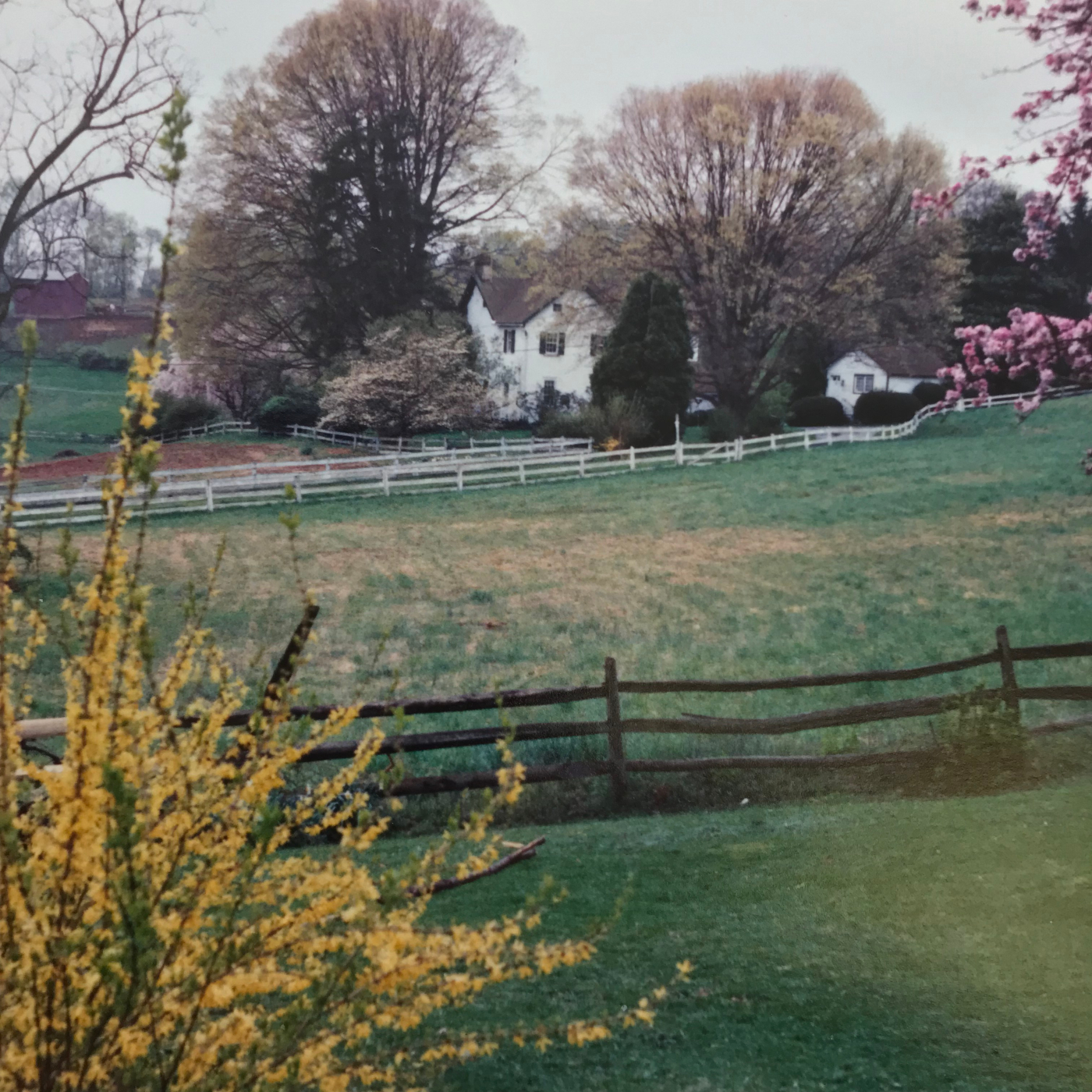 Merrybell farm