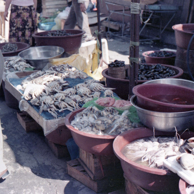 8400-Korea-Market