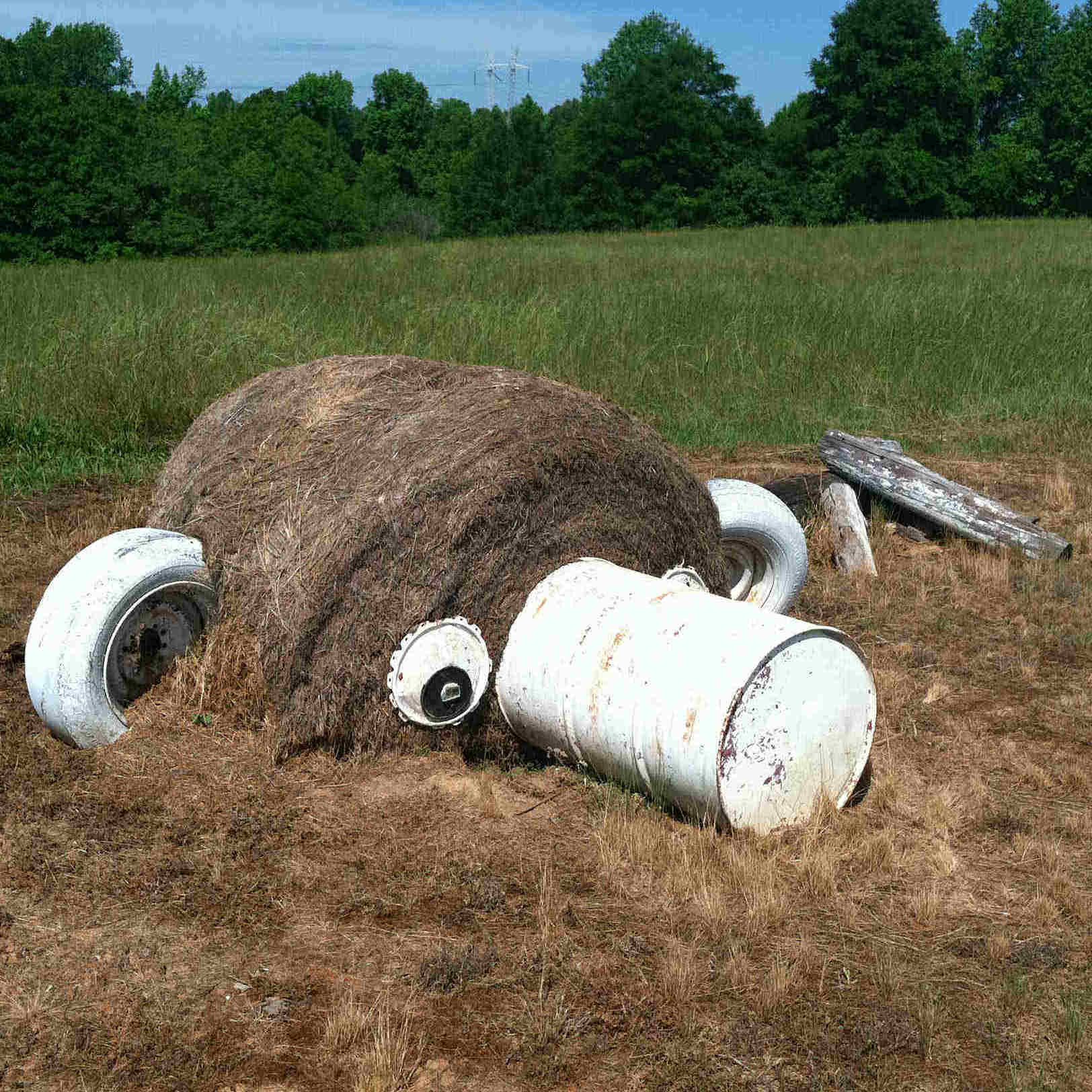 hay bale art