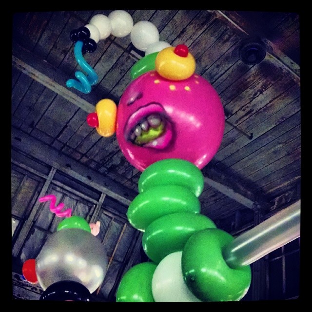 1404-FA-Succulent-Cern-BalloonMonster