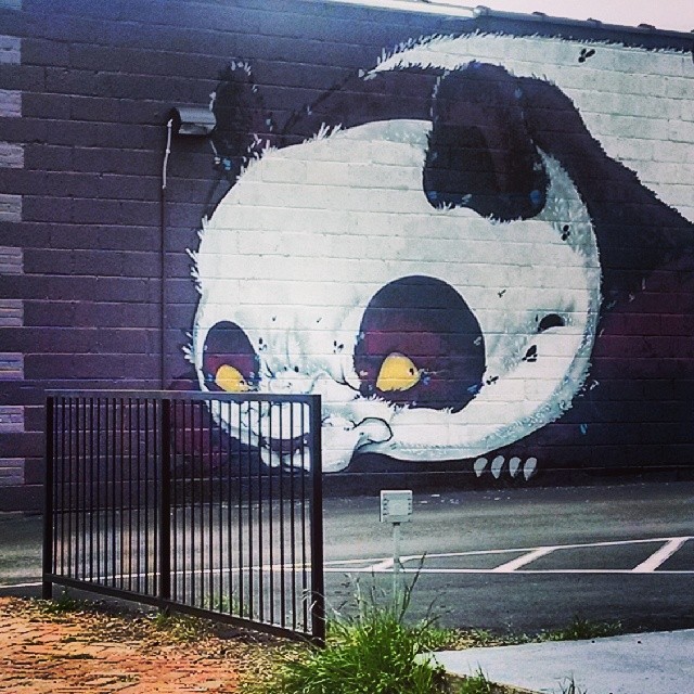 1404-SA-RVA-Panda