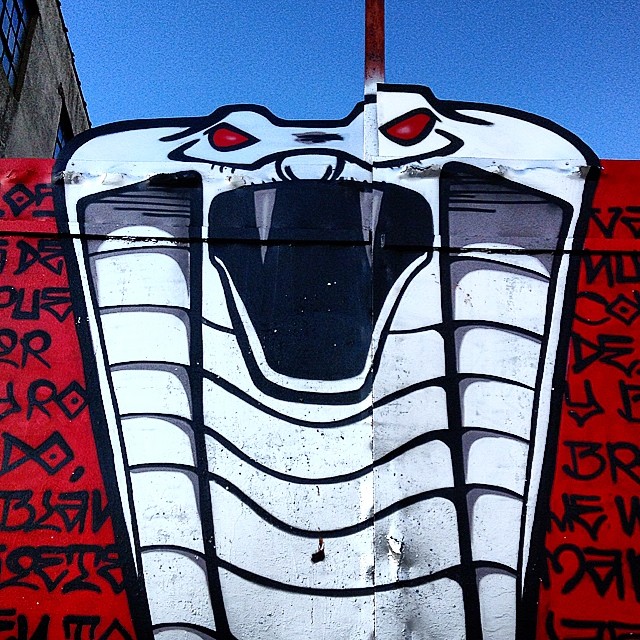 1407-SA-Bushwick-Cobra-Adamfu