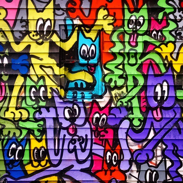 1501-SA-Bushwick-Cats