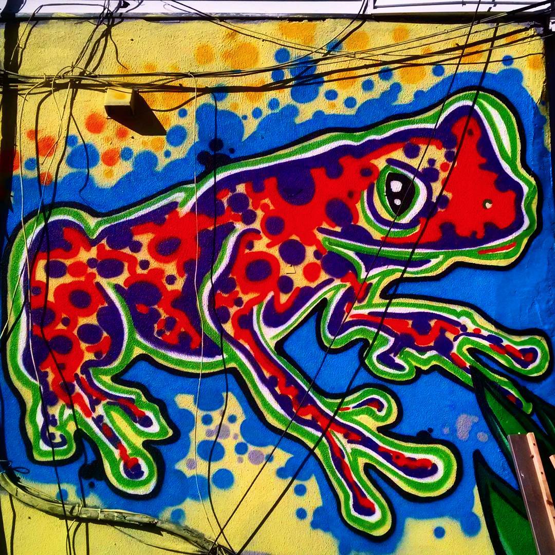 1512-SA-Bushwick-Fumeroism-Frog/