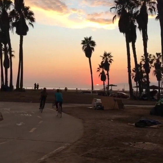 VeniceBeach