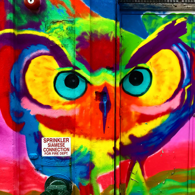 2001-SA-Bushwick-Owl