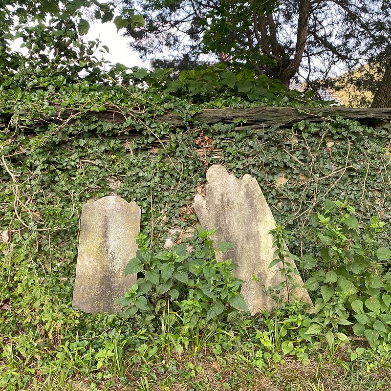 2008-PL-WV-Harpers_Ferry-Abandoned_Gravestones-08