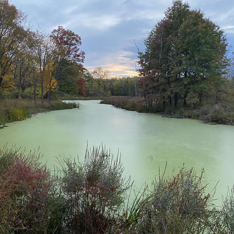 2010-NA-River-New_Paltz_Nature_Preserve