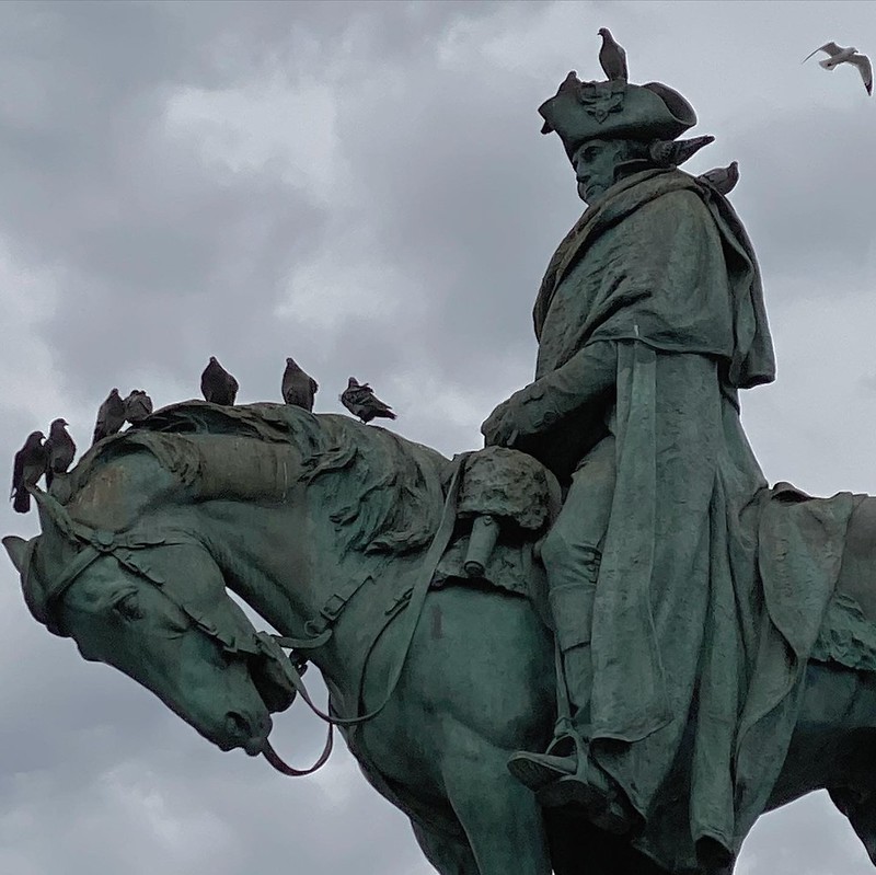 2102-FA-NYC-Continental_Army_Plaza-Pigeons/