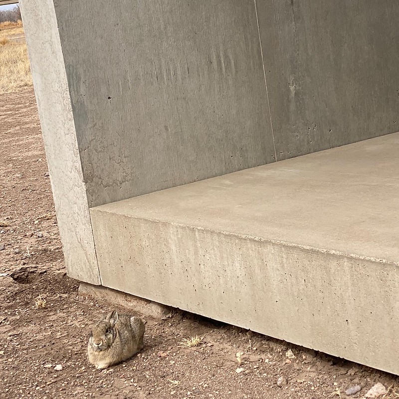 2204-FA-Donald_Judd-Marfa-Bunny