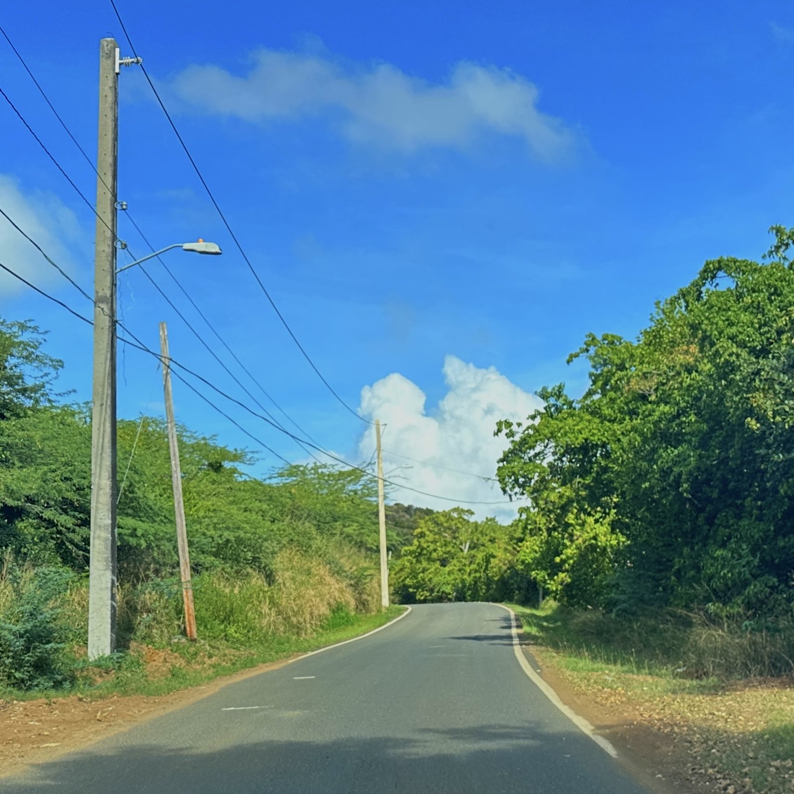 2401-PL-Flamenco_Beach-road